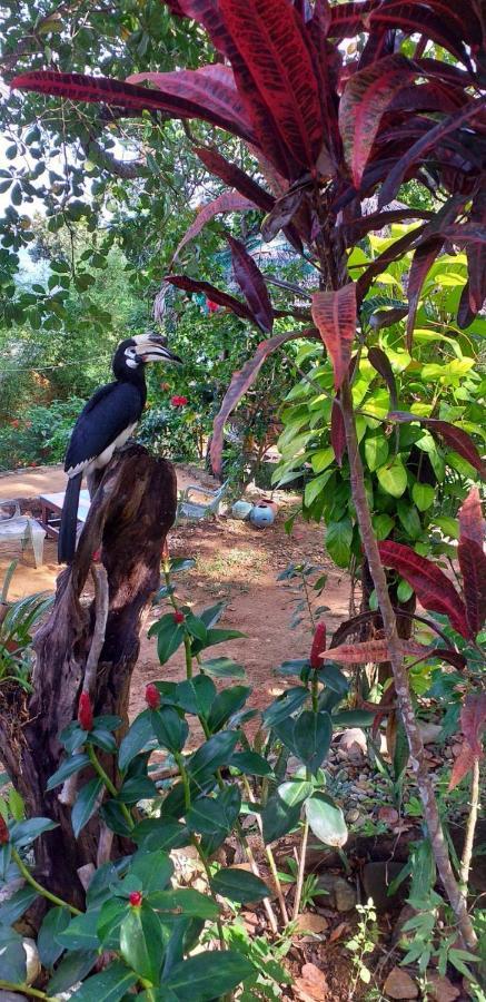 Rattana Bungalow Koh Chang Ko Chang ภายนอก รูปภาพ